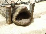 象の鼻の穴