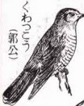 くわつこう