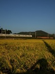 田んぼを走るJR