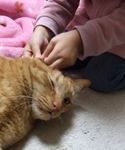 「キレイにしてあげる