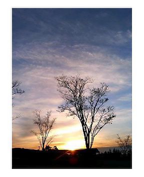 image/dadablog-2005-11-19T06:54:53-1.jpg