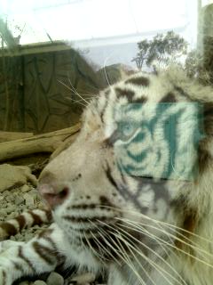 02-04-07_1237.jpg