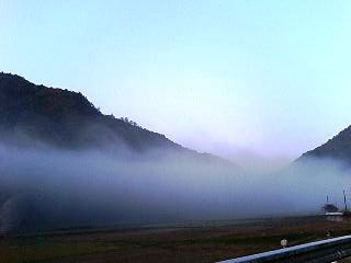 11月の霧