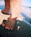 初めての海