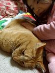「あじゃり、大好き」